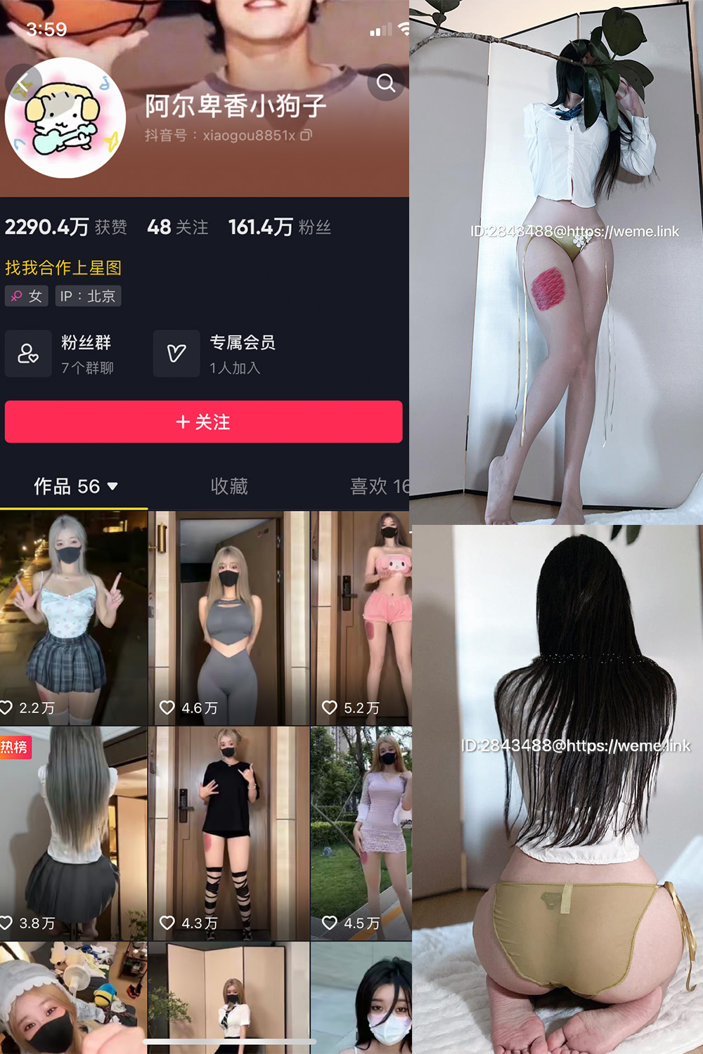 抖音 阿尔卑香小狗子 微密圈  NO.047期 【39P】-私密花园