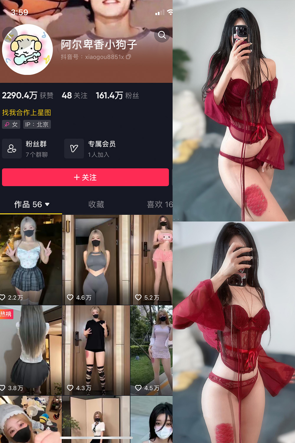 抖音 阿尔卑香小狗子 微密圈  NO.056期 【10P2V】-私密花园